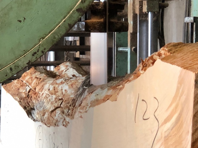 トチ　丸太　製材