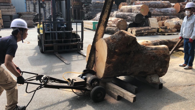 トチ　丸太　製材