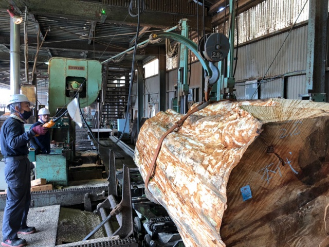 トチ　丸太　製材