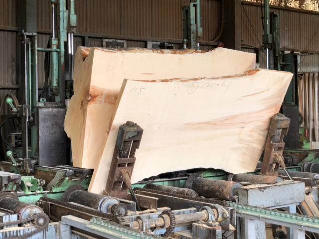 トチ　丸太　製材　一枚板