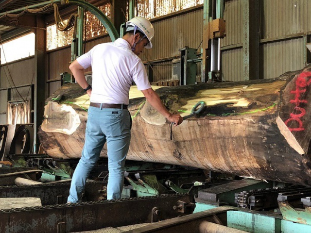 ウォールナット無垢材、ウォールナット製材、ウォールナット丸太