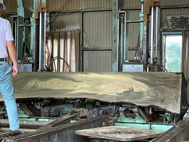 神代ケヤキ丸太、神代ケヤキ製材、神代ケヤキ無垢材