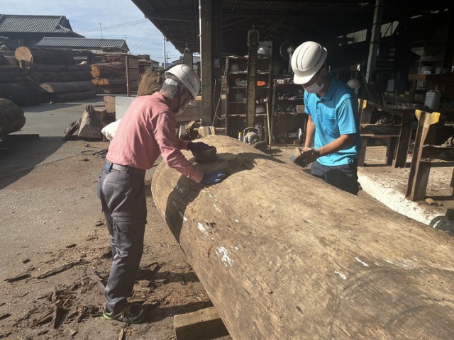 ニューギニアウォールナット、ニューギニアウォールナット製材