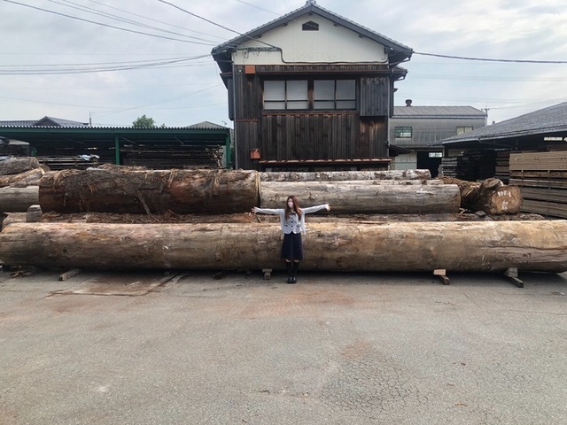 ペンシルシダー 製材