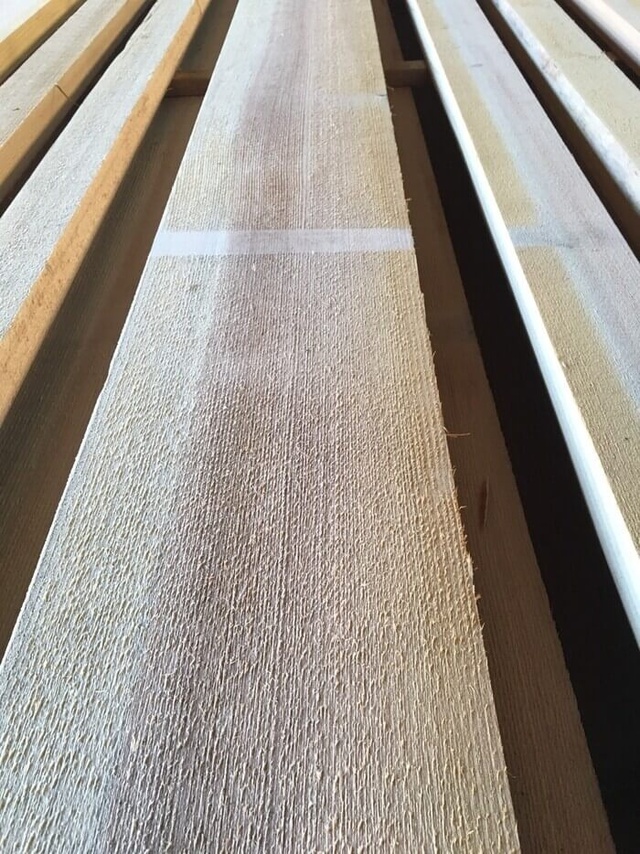 吉野杉　ヨシノスギ