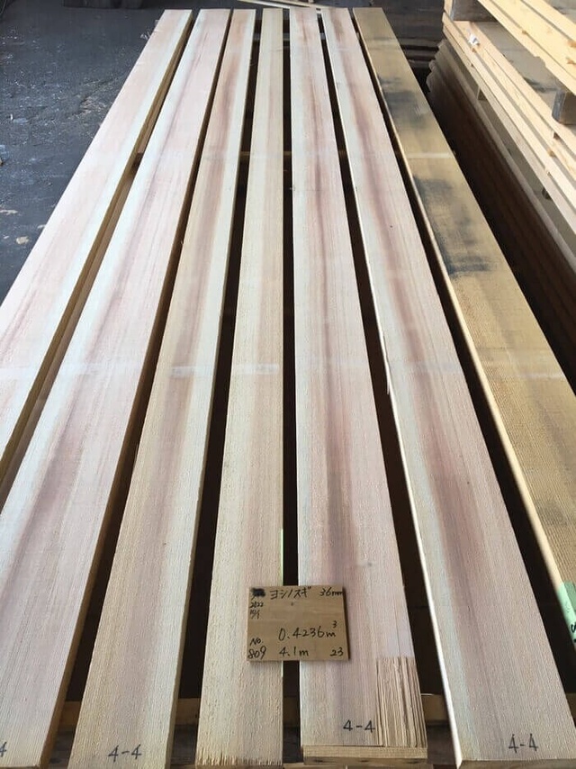 吉野杉　ヨシノスギ