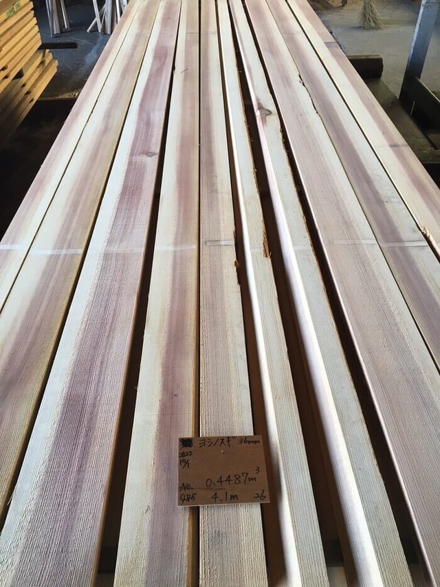 吉野杉　ヨシノスギ