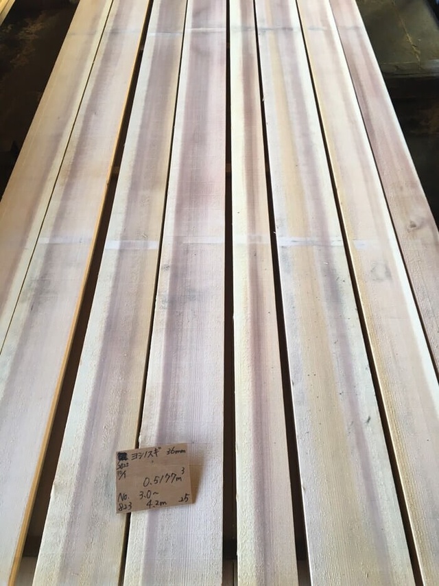 吉野杉　ヨシノスギ