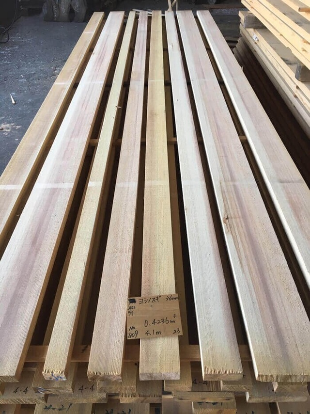 吉野杉　ヨシノスギ