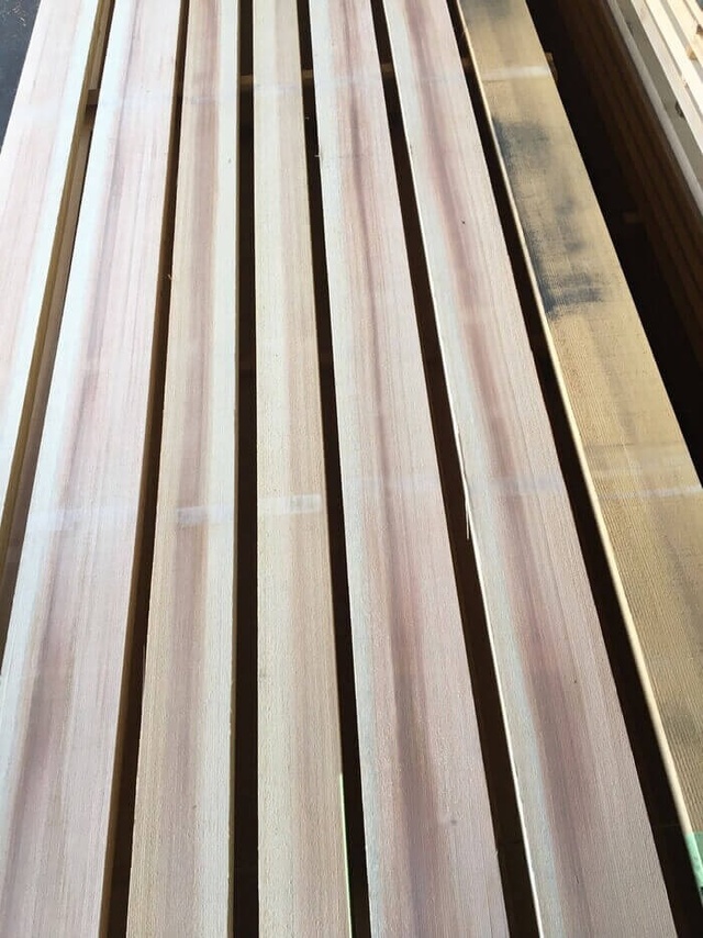 吉野杉　ヨシノスギ