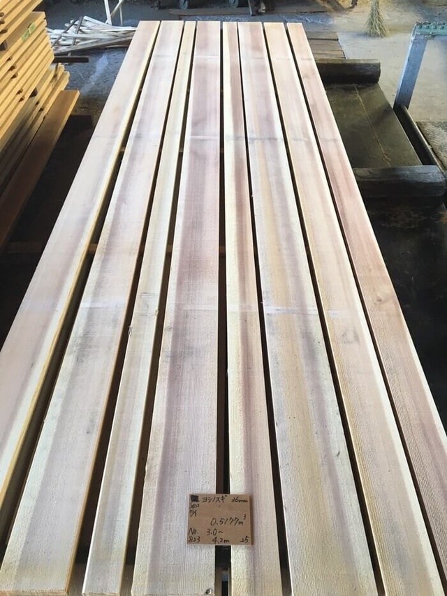 吉野杉　ヨシノスギ