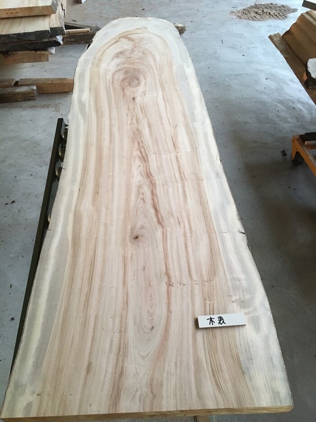 楠（クスノキ）　一枚板天板