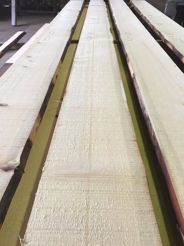 スプルース　無垢材