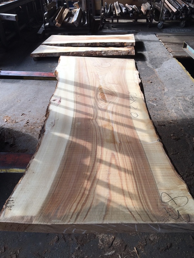 楠（クスノキ）　無垢材