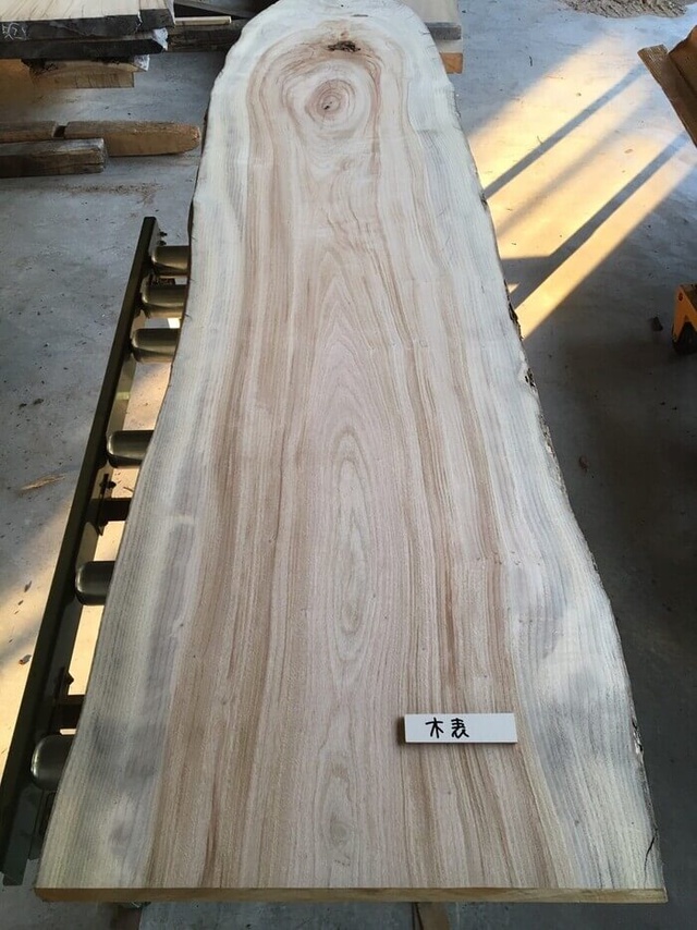 楠（クスノキ）　一枚板天板