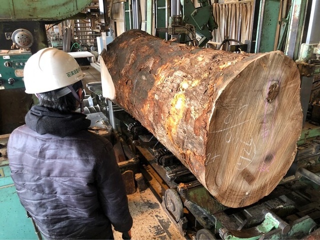 楠（クスノキ）　無垢材