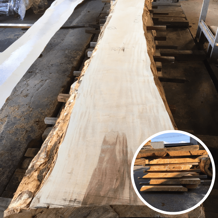 栃（トチ）　無垢材