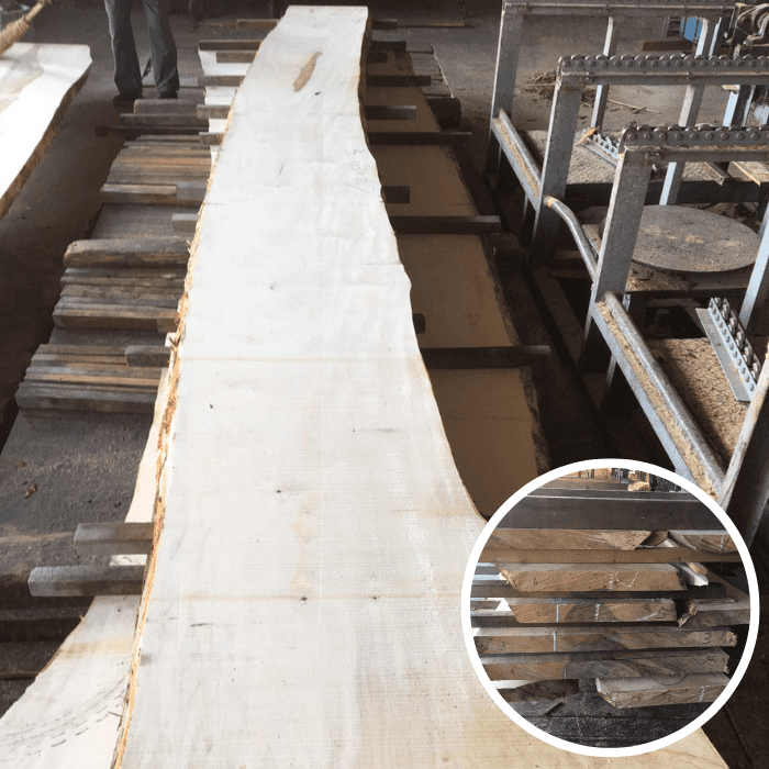 栃（トチ）　無垢材