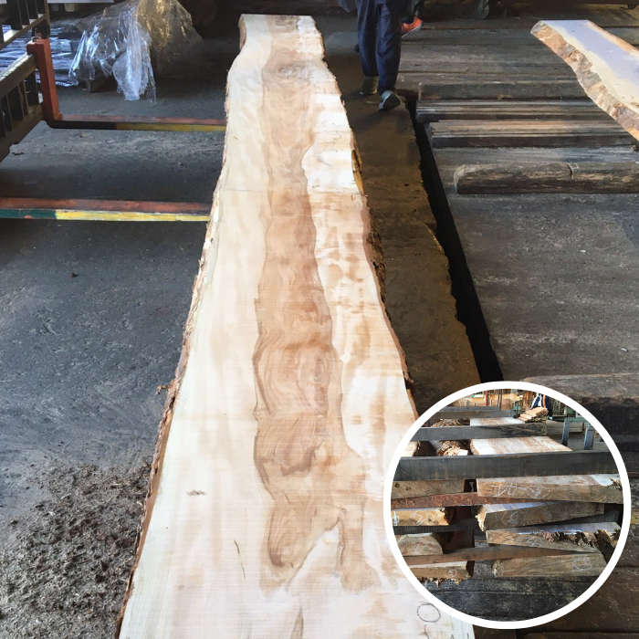 栃（トチ）　無垢材