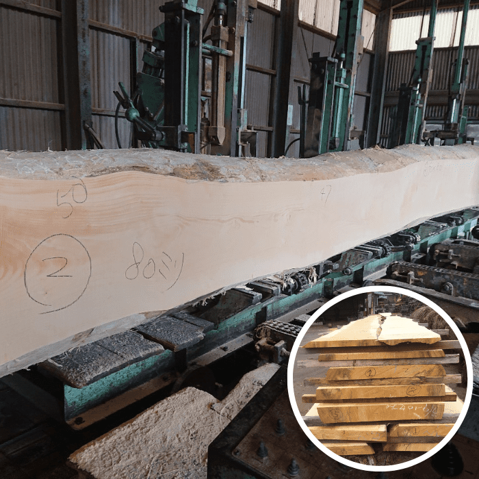 銀杏（イチョウ）　無垢材