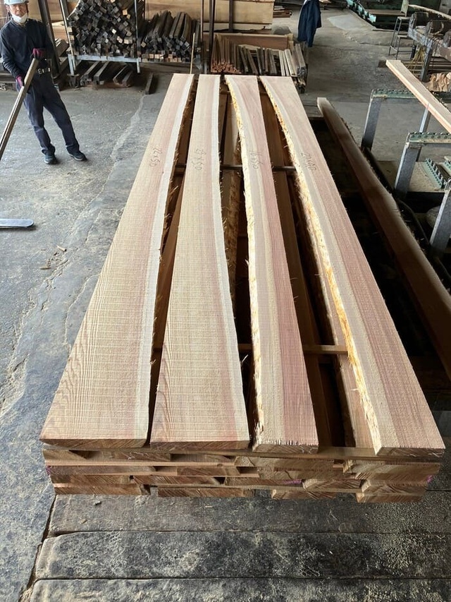 杉（スギ）　無垢材