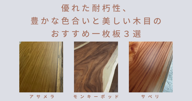 アサメラ　モンキーポッド　サペリ　一枚板