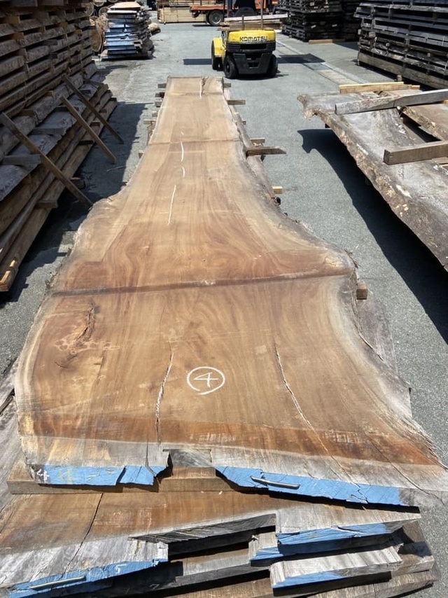 モンキーポッド　一枚板