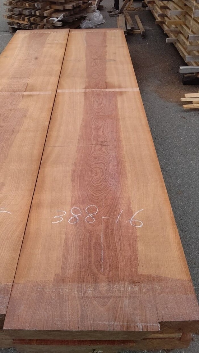 サペリ　一枚板