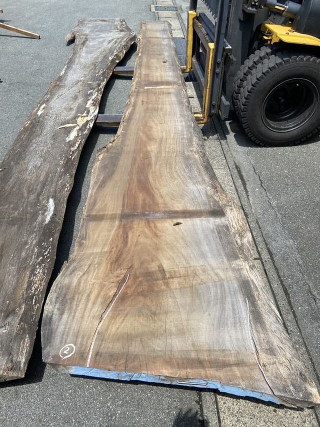 モンキーポッド　一枚板