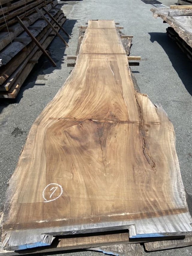 モンキーポッド　一枚板