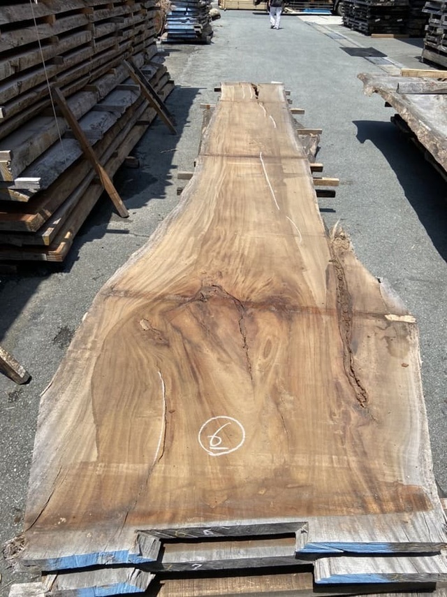 モンキーポッド　一枚板