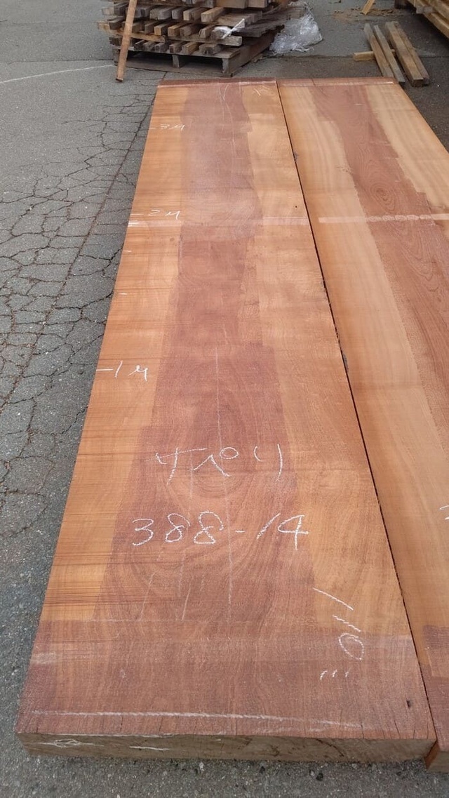 サペリ　一枚板