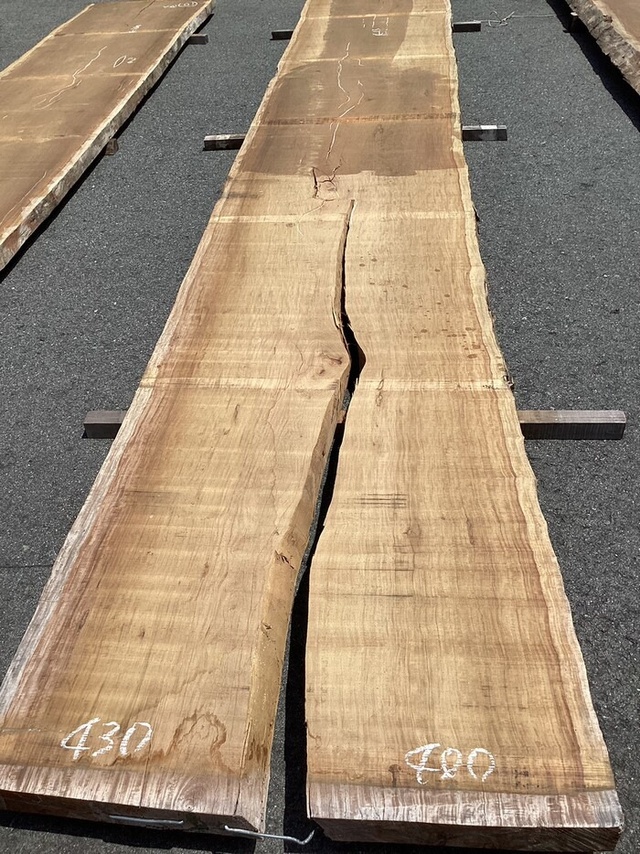 パオローズ一枚板