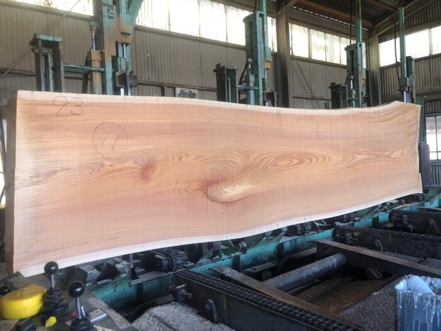 欅（ケヤキ）　一枚板