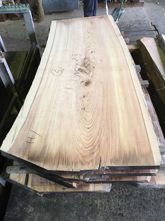 杉（スギ）　一枚板