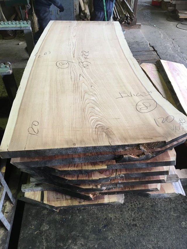 杉（スギ）　一枚板