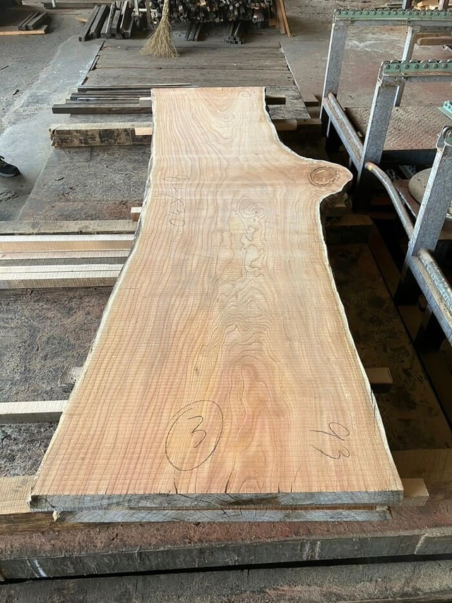 栴檀（センダン）　一枚板