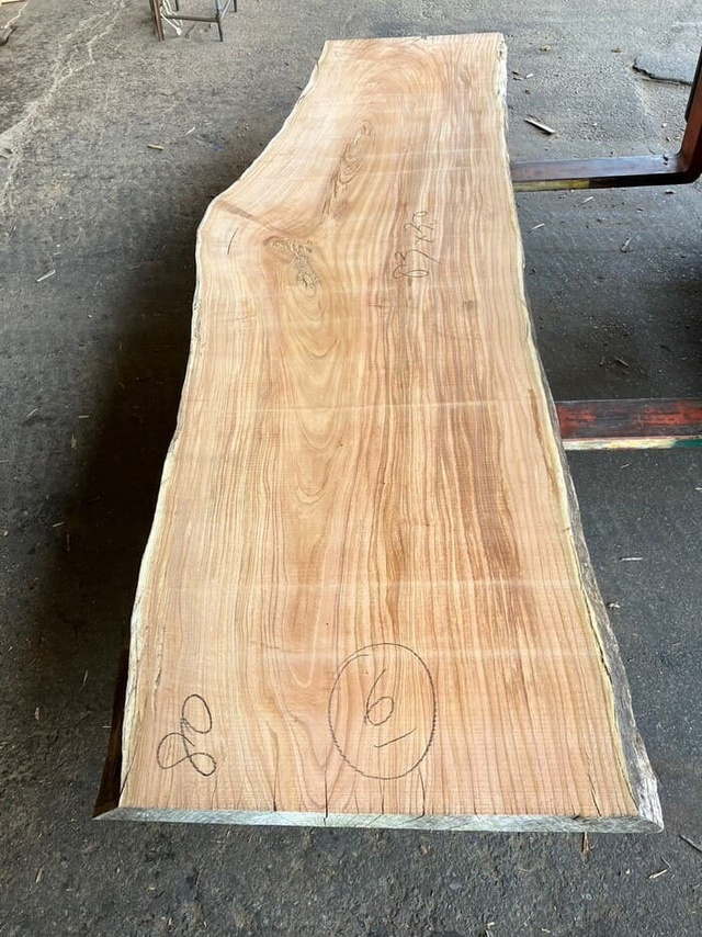 栴檀（センダン）　一枚板