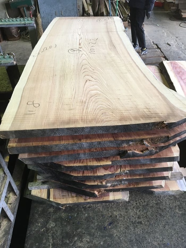 杉（スギ）　一枚板