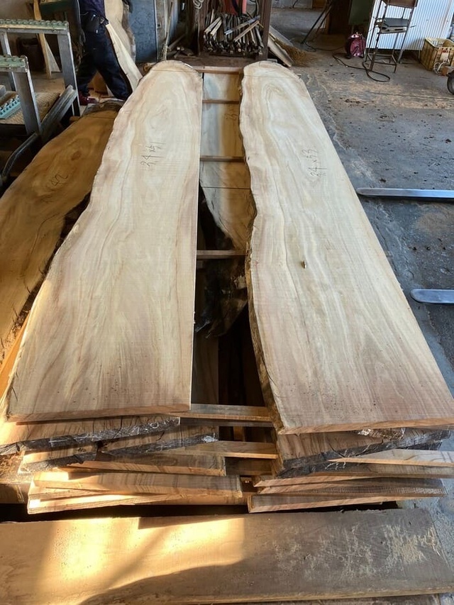 楠　クス　無垢材