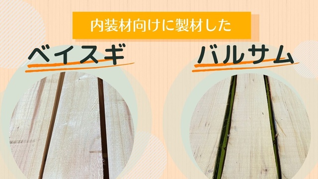 内装材向けに製材した米杉（ベイスギ）とバルサム