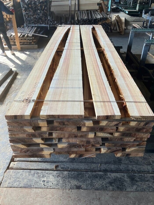 杉（スギ）　無垢材