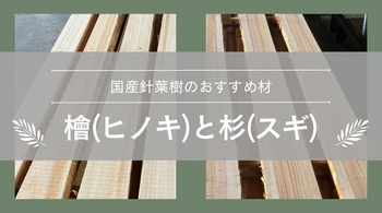 国産針葉樹のおすすめ材　檜（ヒノキ）と杉（スギ）