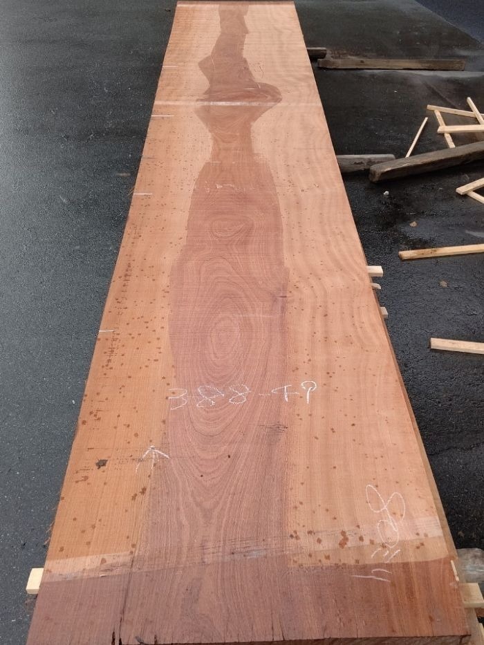 サペリ一枚板　カウンター