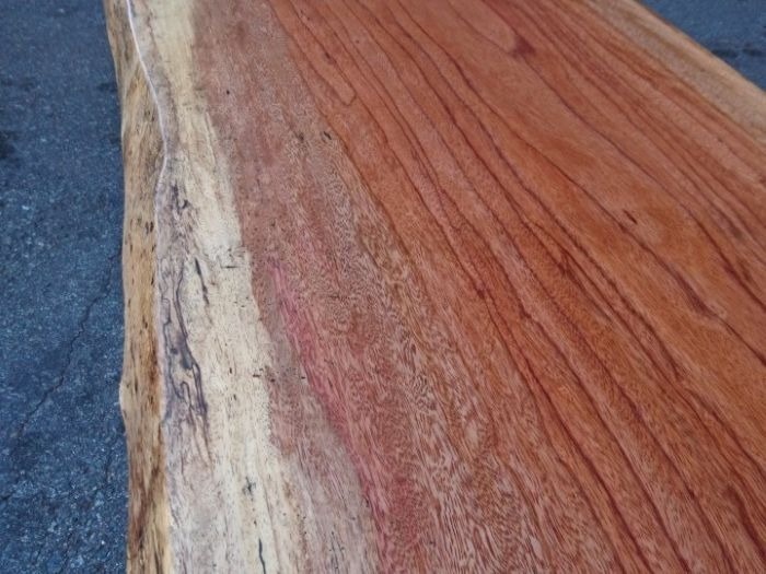 エビアラ　カウンター