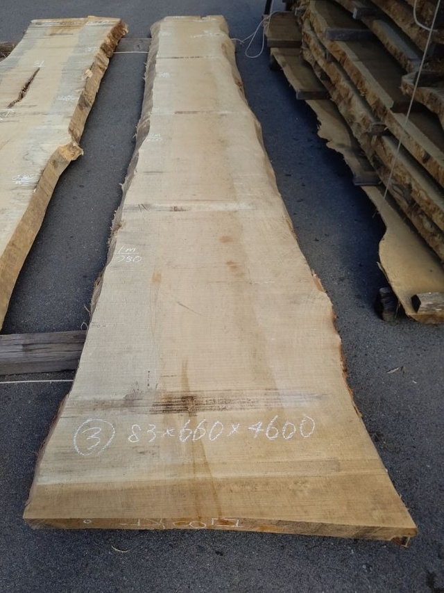 イチョウ一枚板　カウンター