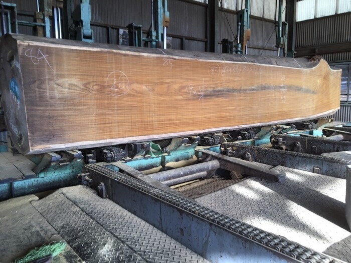 アサメラ　一枚板