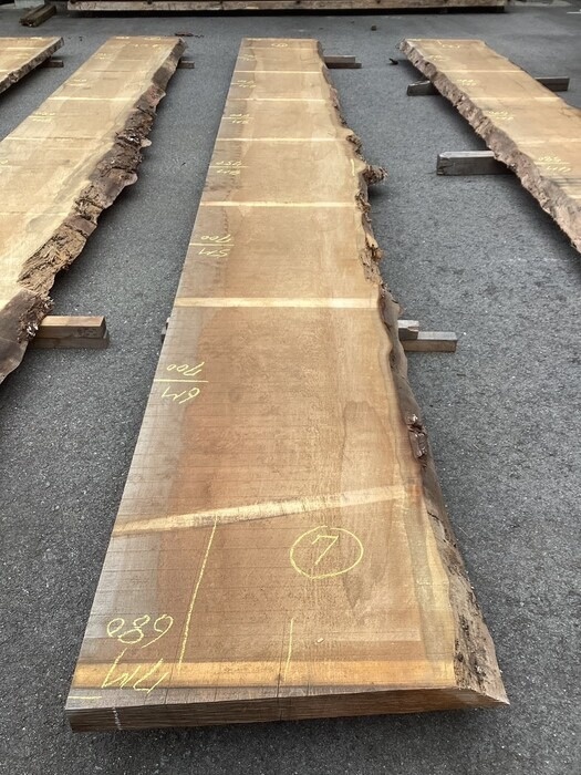 スプルース　一枚板