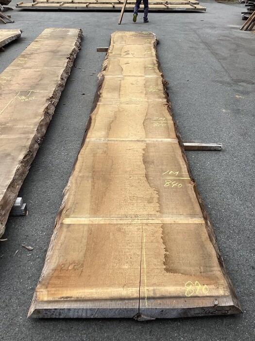 スプルース　一枚板