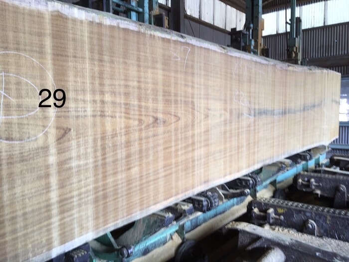 アサメラ　一枚板